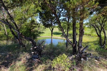 Land for Sale in Gatesville, Texas with Barndo and Hunting - image 7