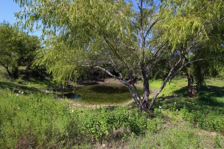 Land for Sale in Gatesville, Texas with Barndo and Hunting - image 6