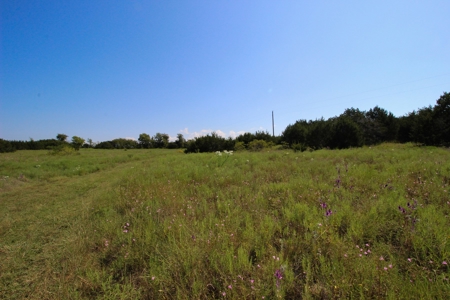 Land for Sale in Gatesville, Texas with Barndo and Hunting - image 22
