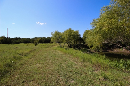 Land for Sale in Gatesville, Texas with Barndo and Hunting - image 21