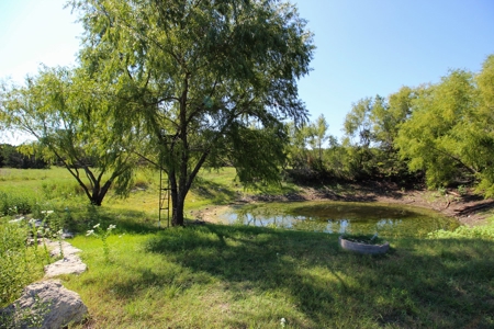 Land for Sale in Gatesville, Texas with Barndo and Hunting - image 1