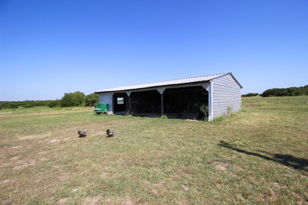 Land for Sale in Gatesville, Texas with Barndo and Hunting - image 19