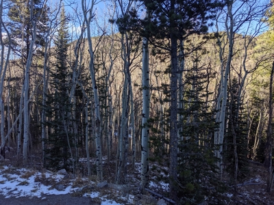 Mountain Land close to Monarch Ski Area building site CO - image 2
