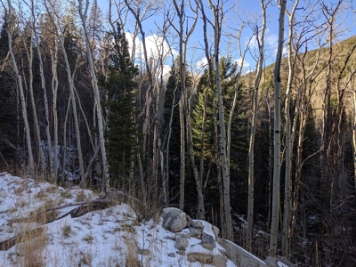 Mountain Land close to Monarch Ski Area building site CO - image 3