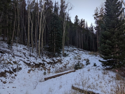 Mountain Land close to Monarch Ski Area building site CO - image 4
