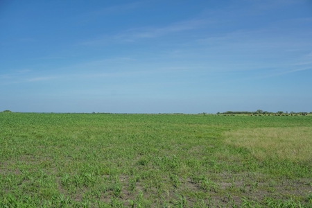 Combination Ranch- Fishing, Hunting, Cattle, 600+ Acres - image 22