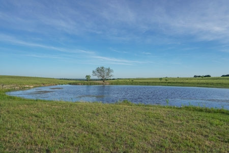 Combination Ranch- Fishing, Hunting, Cattle, 600+ Acres - image 37