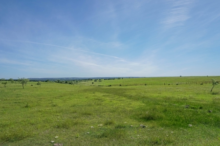 Combination Ranch- Fishing, Hunting, Cattle, 600+ Acres - image 28