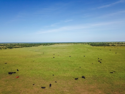 Combination Ranch- Fishing, Hunting, Cattle, 600+ Acres - image 29