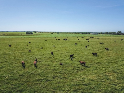 Combination Ranch- Fishing, Hunting, Cattle, 600+ Acres - image 25