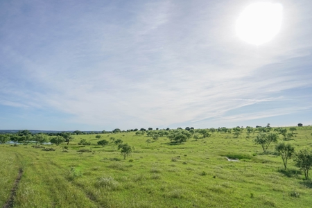 Combination Ranch- Fishing, Hunting, Cattle, 600+ Acres - image 34