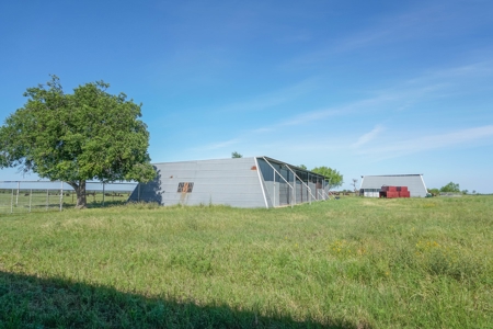 Combination Ranch- Fishing, Hunting, Cattle, 600+ Acres - image 18