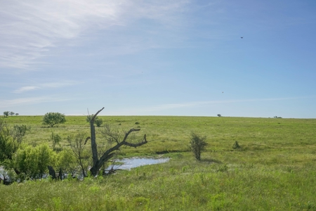 Combination Ranch- Fishing, Hunting, Cattle, 600+ Acres - image 32