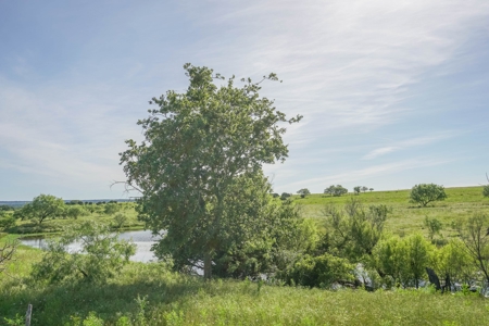 Combination Ranch- Fishing, Hunting, Cattle, 600+ Acres - image 31