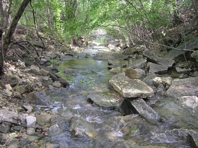 High Fenced Ranch, Private Lakes, Cowhouse Creek, Hunting - image 27
