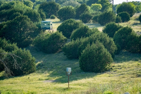 High Fenced Ranch, Private Lakes, Cowhouse Creek, Hunting - image 16