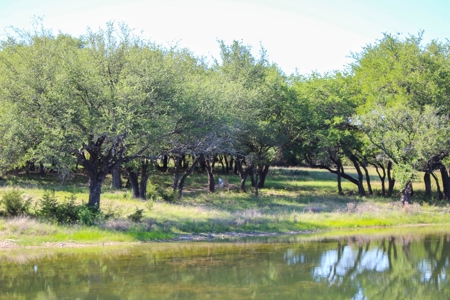 High Fenced Ranch, Private Lakes, Cowhouse Creek, Hunting - image 21