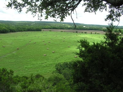 High Fenced Ranch, Private Lakes, Cowhouse Creek, Hunting - image 44