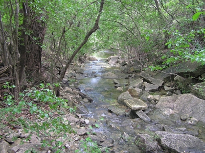 High Fenced Ranch, Private Lakes, Cowhouse Creek, Hunting - image 8