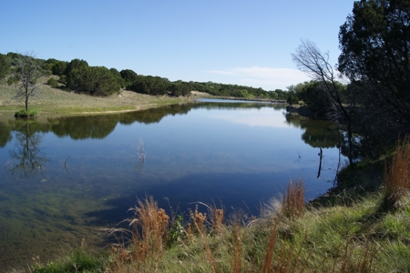 High Fenced Ranch, Private Lakes, Cowhouse Creek, Hunting - image 19