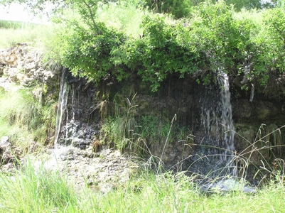 High Fenced Ranch, Private Lakes, Cowhouse Creek, Hunting - image 26