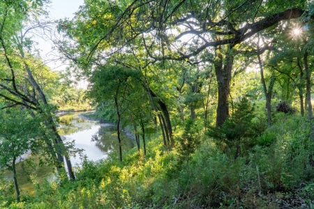 High Fenced Ranch, Private Lakes, Cowhouse Creek, Hunting - image 35