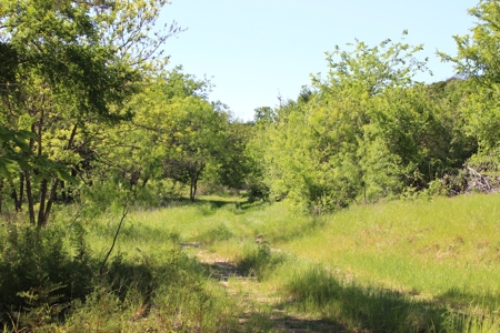 High Fenced Ranch, Private Lakes, Cowhouse Creek, Hunting - image 43