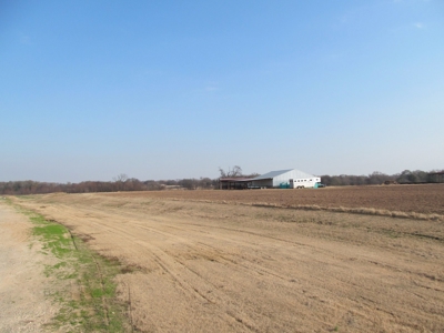 Pickton, Tx Poultry Farm - 74 Acres - 3/2 Home - East Texas - image 6