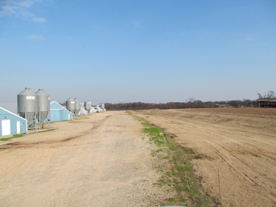 Pickton, Tx Poultry Farm - 74 Acres - 3/2 Home - East Texas - image 5