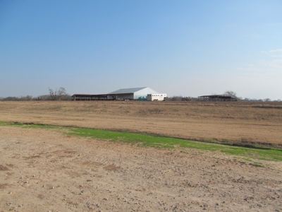 Pickton, Tx Poultry Farm - 74 Acres - 3/2 Home - East Texas - image 10