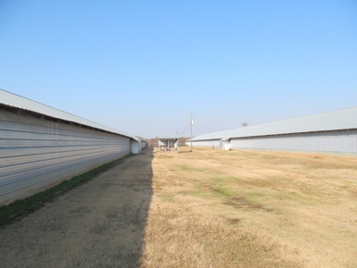 Pickton, Tx Poultry Farm - 74 Acres - 3/2 Home - East Texas - image 13