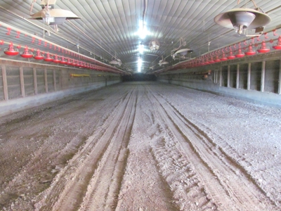 Pickton, Tx Poultry Farm - 74 Acres - 3/2 Home - East Texas - image 12