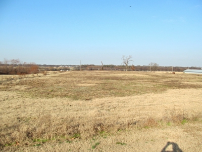 Pickton, Tx Poultry Farm - 74 Acres - 3/2 Home - East Texas - image 1