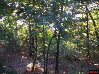 Lot On Bull Shoals Lake in Protem, MO bordering Corps Land - image 6