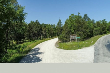Lot On Bull Shoals Lake in Protem, MO bordering Corps Land - image 11
