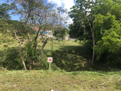 Lot For Sale In Palmeras Del Golf Panama - image 4