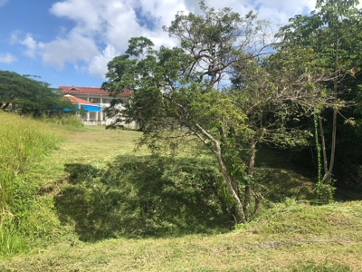 Lot For Sale In Palmeras Del Golf Panama - image 1