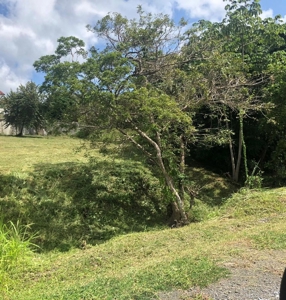 Lot For Sale In Palmeras Del Golf Panama - image 6