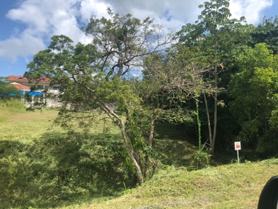 Lot For Sale In Palmeras Del Golf Panama - image 2