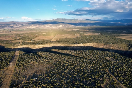 Montrose Vacant Canyon Building Land For Sale - image 18