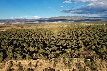 Montrose Vacant Canyon Building Land For Sale - image 11