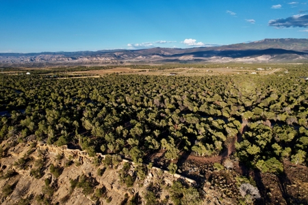 Montrose Vacant Canyon Building Land For Sale - image 12