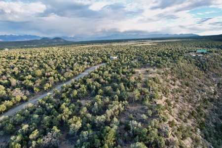 Montrose Vacant Canyon Building Land For Sale - image 26
