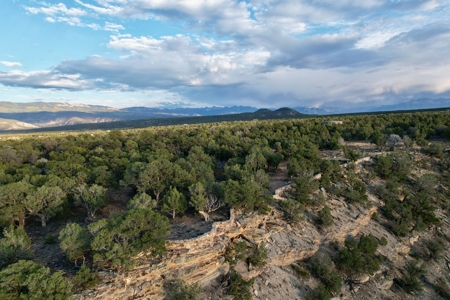 Montrose Vacant Canyon Building Land For Sale - image 27