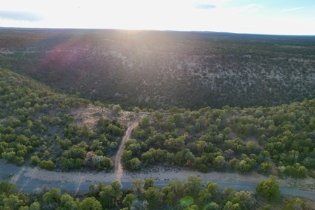Montrose Vacant Canyon Building Land For Sale - image 25