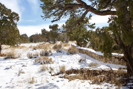 Montrose Vacant Canyon Building Land For Sale - image 4
