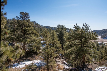 Colorado Log Cabin Borders BLM W/Private Trout Stream Access - image 25
