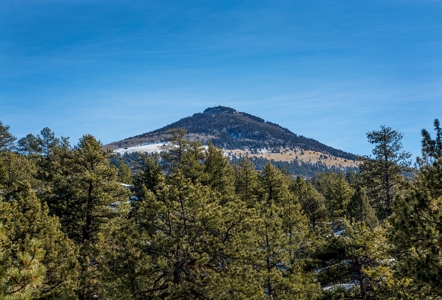Colorado Log Cabin Borders BLM W/Private Trout Stream Access - image 26