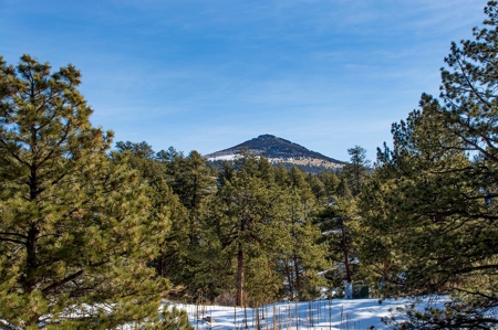 Colorado Log Cabin Borders BLM W/Private Trout Stream Access - image 27