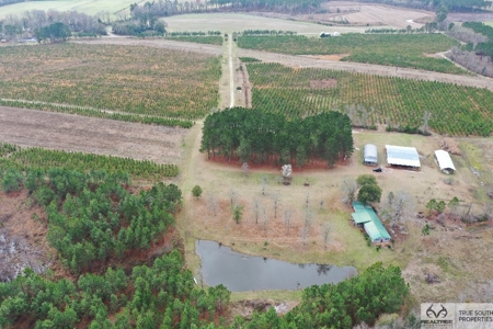 Sow's Ear Farm Country Estate - image 42